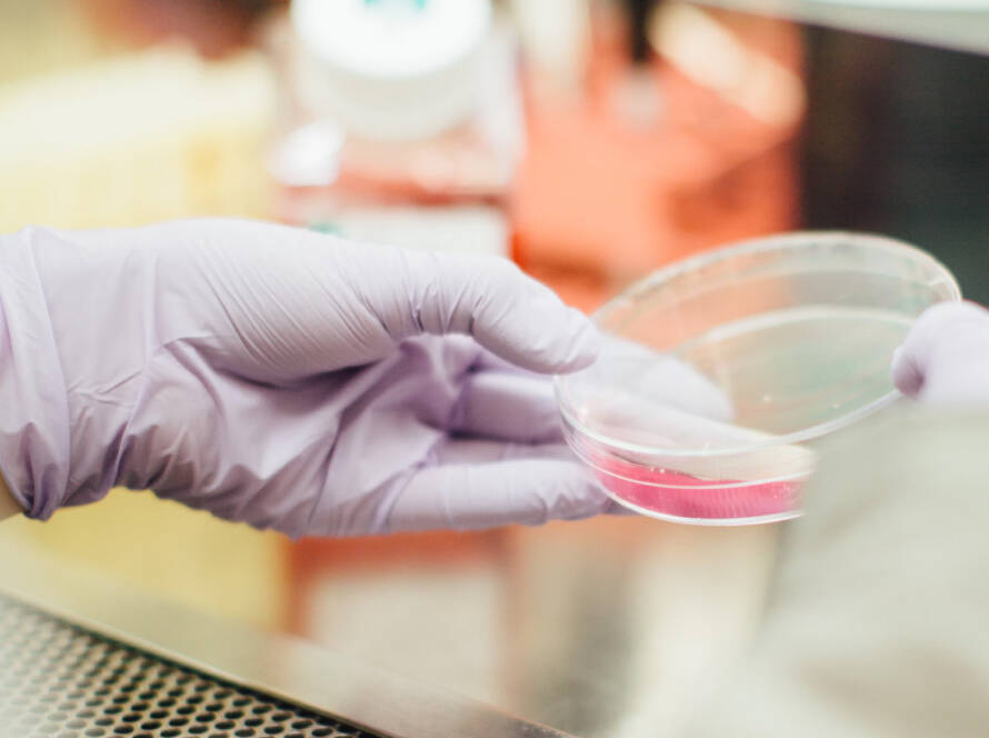 avocat paris droit des affaires